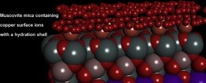 Image, graphical abstract